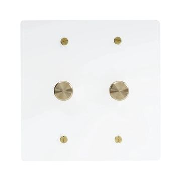 2-gang white with brass accents plate. Two 250W single-pole rotary dimmers with brass knobs.