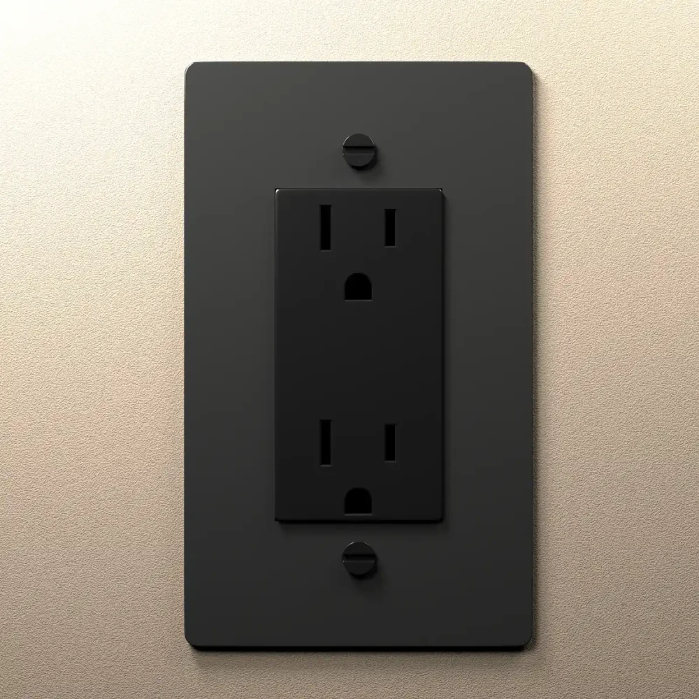 Black Brass Electrical Outlet - Image 3