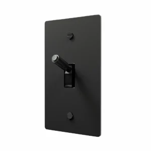 black brass toggle switch