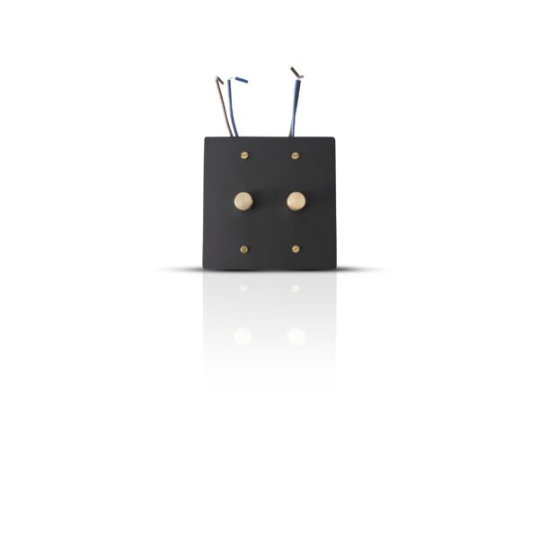 2 gang dimmer black brass