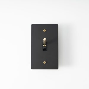 Black Brass Plate with Golden Knurled Toggle Switch - Sleek design combining black brass finish with a golden knurled switch for a sophisticated touch