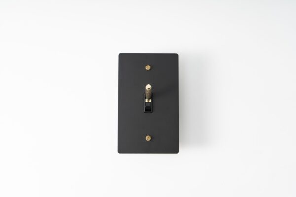 Black Brass Plate with Golden Knurled Toggle Switch - Sleek design combining black brass finish with a golden knurled switch for a sophisticated touch