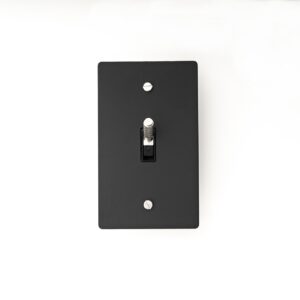 Black Brass Plate with Silver Toggle - A stylish and durable switch panel for modern interiors.