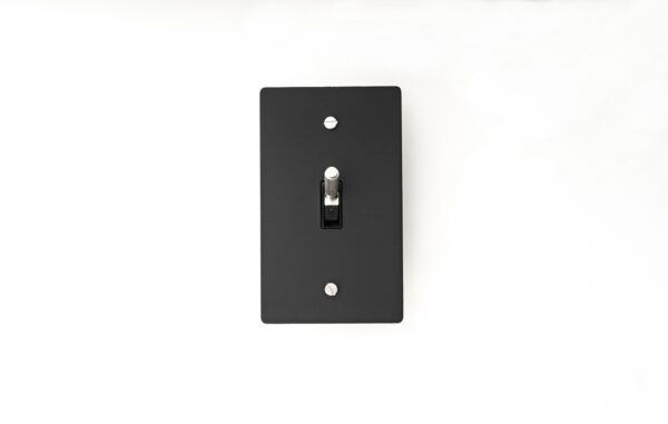 Black Brass Plate with Silver Toggle - A stylish and durable switch panel for modern interiors.