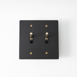 Two-Gang Black Brass Plate with Golden Knurled Toggle Switch - Stylish dual-toggle switch in a black brass finish featuring golden knurled detailing