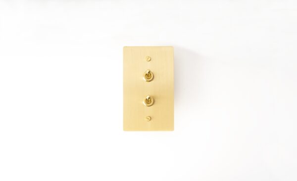 Satin gold brass light switch double toggle panel