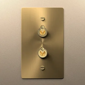 Double toggle switch