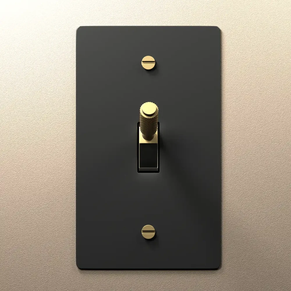 Black Brass Toggle Switch - Image 3