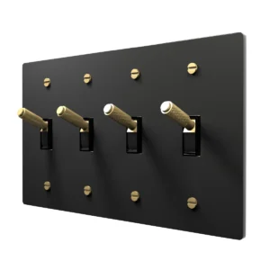 black brass toggle switch