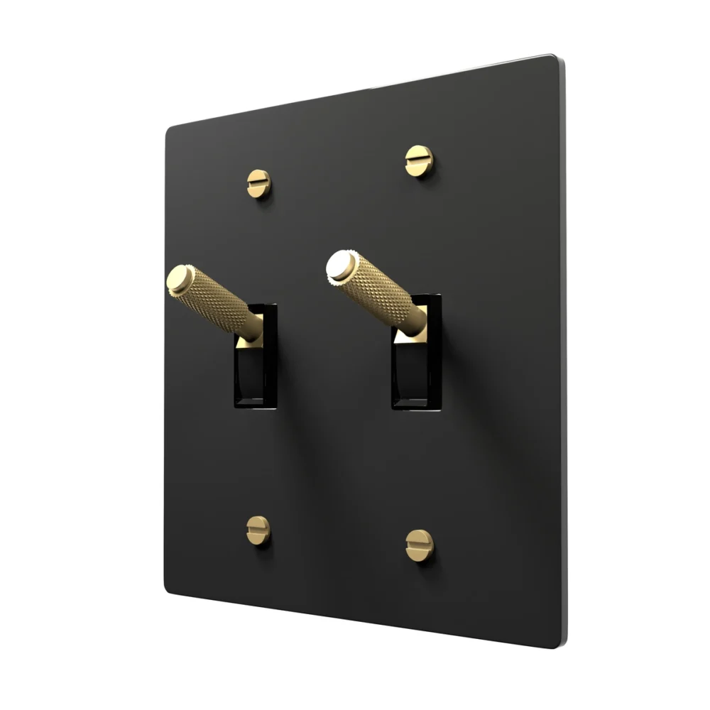 black brass toggle switch