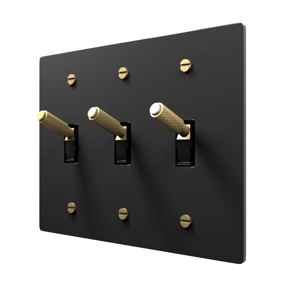 black brass toggle switch