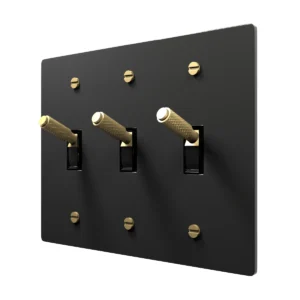 black brass toggle switch