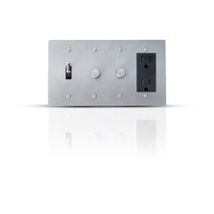 An image of a combo plate featuring a toggle switch, two separate dimmer controls, and a single outlet, all encased in a sleek, elegant design for modern electrical management.