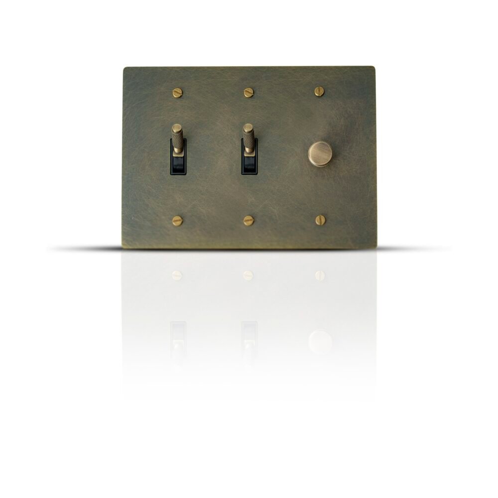 Close-up of a 2-Gang Toggle Switch and Dimmer Combo, featuring one toggle switch and one dimmer control, set against a sleek, contemporary design suitable for modern home interiors