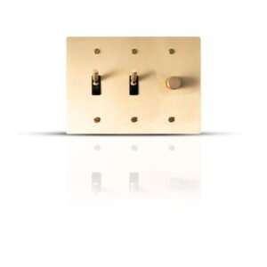 Close-up of a 2-Gang Toggle Switch and Dimmer Combo, featuring one toggle switch and one dimmer control, set against a sleek, contemporary design suitable for modern home interiors