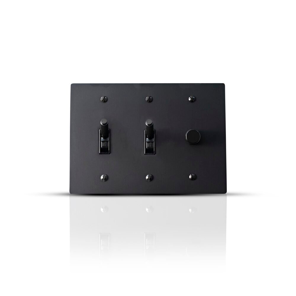 Close-up of a 2-Gang Toggle Switch and Dimmer Combo, featuring one toggle switch and one dimmer control, set against a sleek, contemporary design suitable for modern home interiors