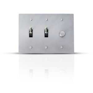 Close-up of a 2-Gang Toggle Switch and Dimmer Combo, featuring one toggle switch and one dimmer control, set against a sleek, contemporary design suitable for modern home interiors