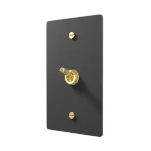 brass retro toggle switch