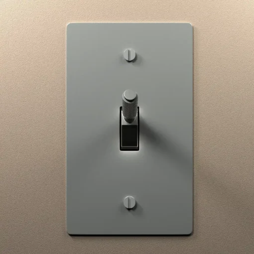 Stainless Steel Toggle Switch