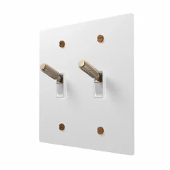 2 gang toggle switch