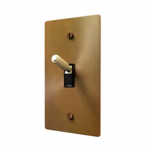 Unlacquered aged brass toggle switch