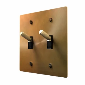 Unlacquered aged brass toggle switch