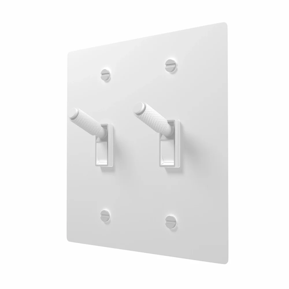 White brass toggle switch