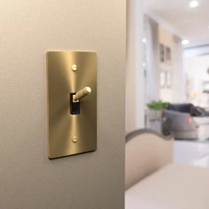 Brass light switch