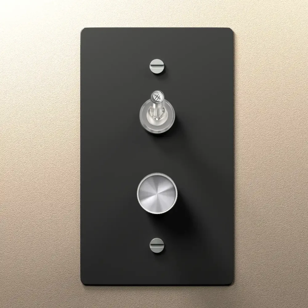 Black Brass Dimmer and Toggle Switch