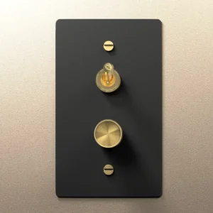 Black Brass Dimmer and Toggle Switch