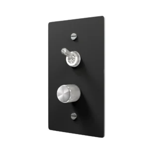 Black Brass Dimmer and Toggle Switch