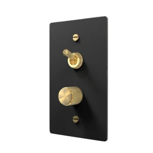 Black Brass Dimmer and Toggle Switch