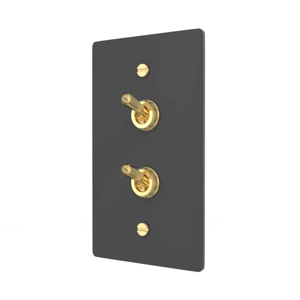 Black brass double retro toggle switch