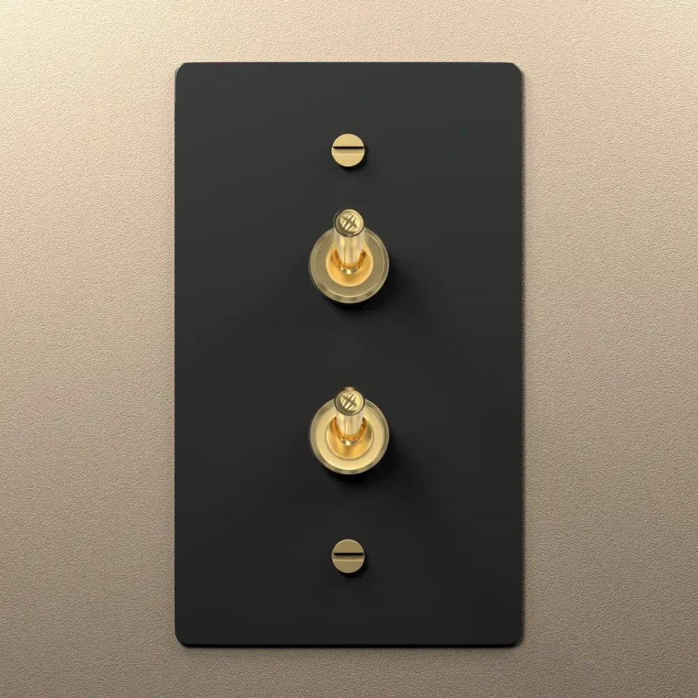 Black brass double retro toggle switch