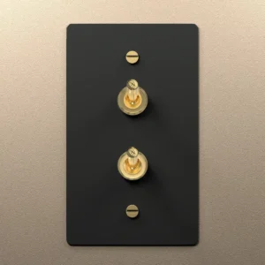 Black brass double retro toggle switch