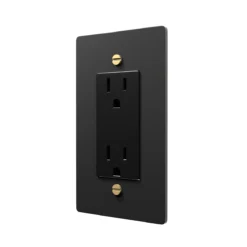 Black Electrical Outlet with Brass