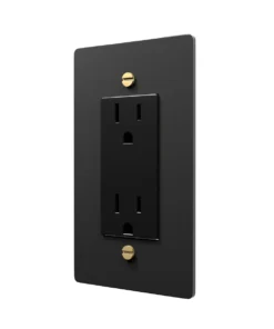 Black Electrical Outlet with Brass