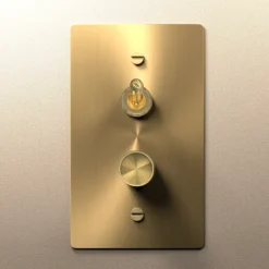 Brass toggle and dimmer switch plate