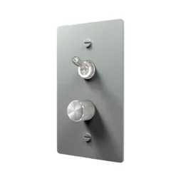 Stainless Steel Toggle and Dimmer Switch Plate