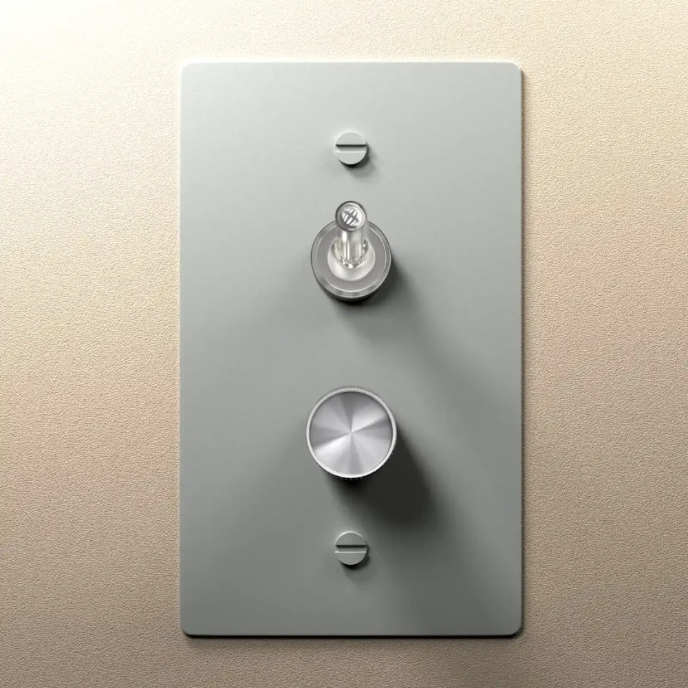 Stainless Steel Toggle and Dimmer Switch