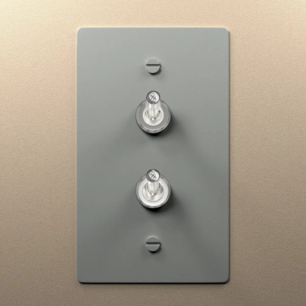 Stainless steel double retro toggle switch