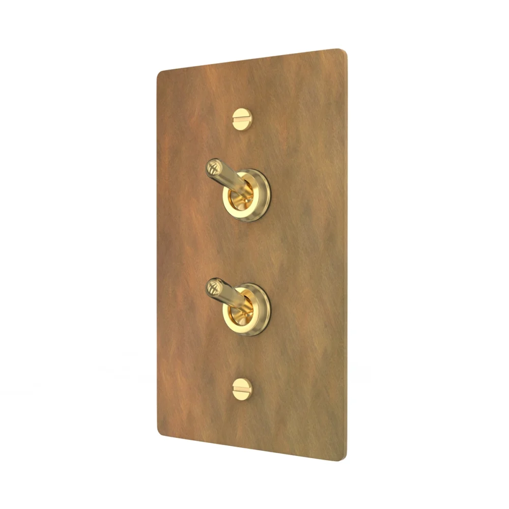 aged brass double retro toggle switch