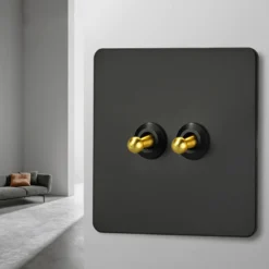 Toggle Black Stainless Steel Light Switch