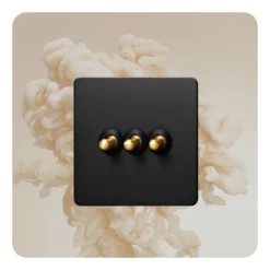 Black Stainless Steel Panel Gold Retro Toggle Switch