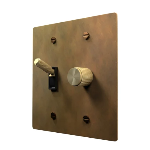 Rotary dimmer and toggle combo