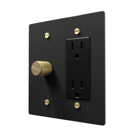 Dimmer outlet combo