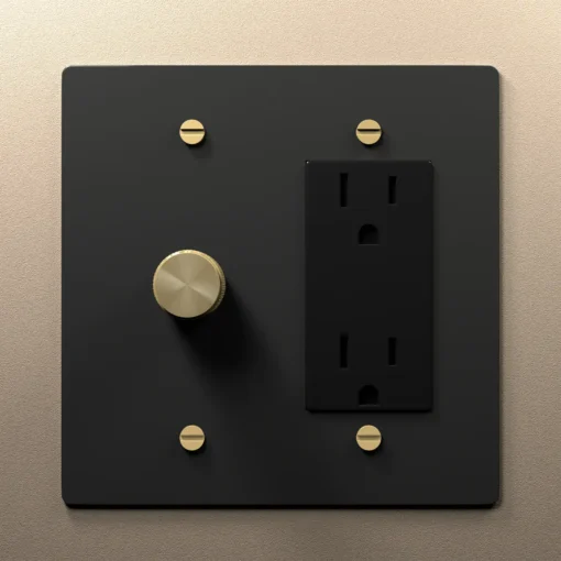 Dimmer outlet combo