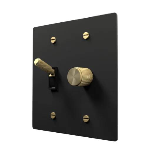 Rotary dimmer and toggle combo