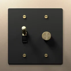 Rotary dimmer and toggle combo