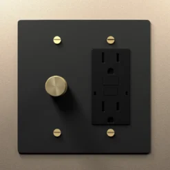 Rotary dimmer and outlet combo